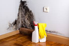 Best Dehumidification Services  in East Mountain, TX